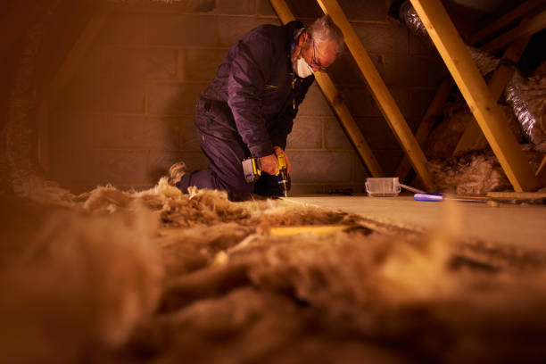 Best Insulation Contractor Near Me  in Hubbard, OR